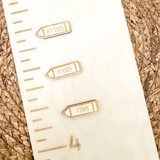 Growth Chart and Year Markers Wholesale